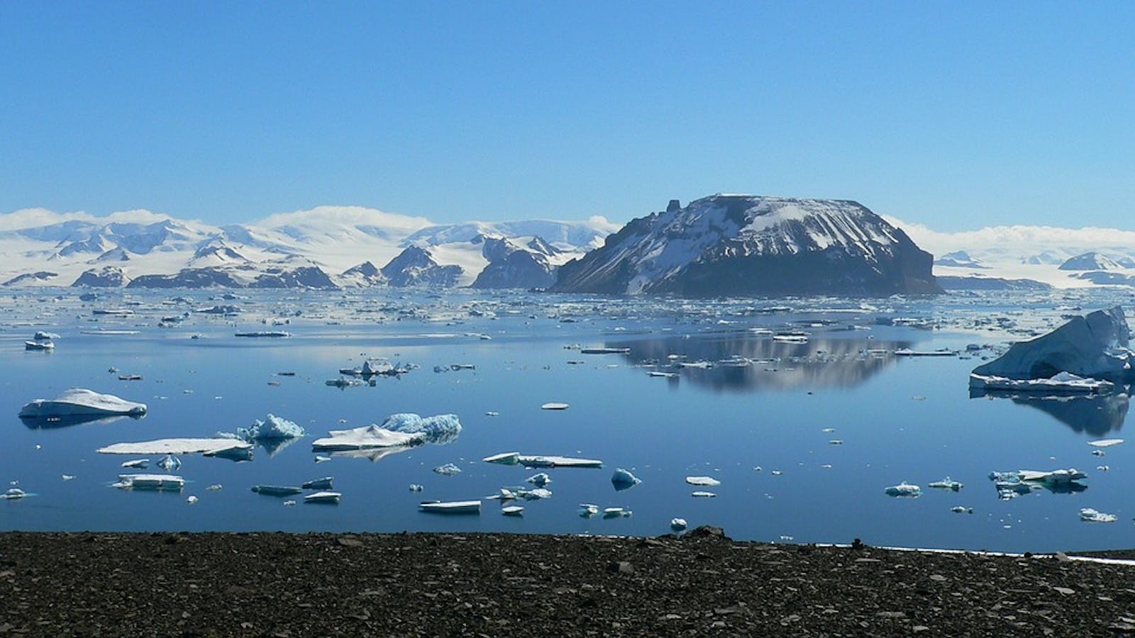 Northeast Antarctic Peninsula Tundra One Earth